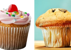 تفاوت مافین و کاپ کیک 